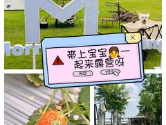 -前小桔亲子创意农场·草莓采摘·露营烧烤