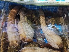 -望海潮海鲜店 特色家常菜(在海一方店)