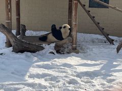 -石家庄市动物园