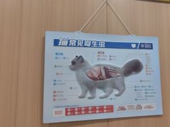 -米苏动物医院·犬猫专科·骨科外科内窥镜