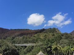 -西双版纳原始森林公园