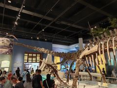 -国家自然博物馆