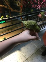 -酷嗒动物文化乐园(cutezoo西溪乐天城店)