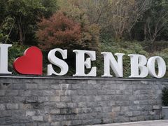 -杭州开元森泊度假乐园