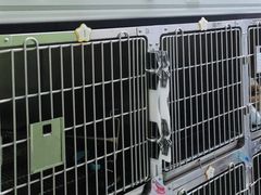 -美迦爱-牙专科·兔科·骨科诊疗中心(北苑店)