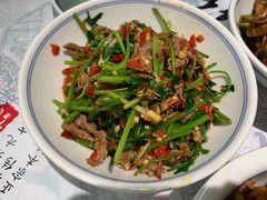 香菜炒牛肉-壹盏灯(蚂蚁工房店)