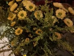 -酒肆浅葱•烧烤•龙虾•排档(卓悦intown店)