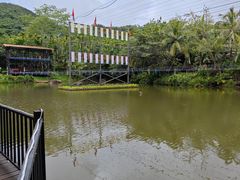 -呀诺达热带雨林