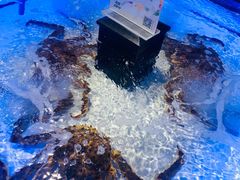 -Ole精品超市(南宁万象城店)