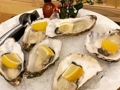 -一本钓鲔鱼屋