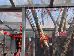 -望京一号(请您到博雅店用餐·博雅店)