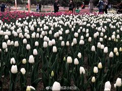 -长春公园(普阳街道)