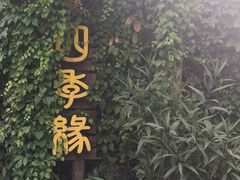 -陶缘一号·四季缘·老字号顺德菜·户外婚礼家宴(西滘店)