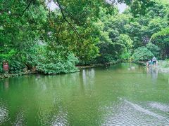 -成都市活水公园