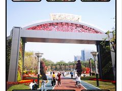 -文华公园(禅城区)