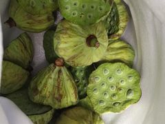 -成都七中(林荫校区)