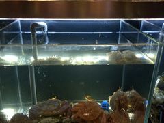 -璞御·海鲜·雪花牛肉局(宾水西道店)