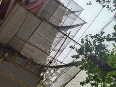 -淮国旧H22·中古店