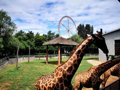 -石家庄市动物园