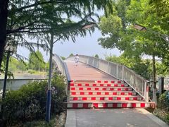 -澹台湖公园