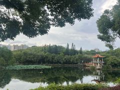 -深圳龙潭公园