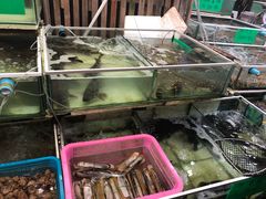 -拉威海鲜市场