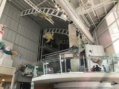-澳大利亚国家海事博物馆