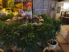 -天怡·鱼工厂(临江店)
