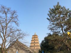 -大慈恩寺(大雁塔)