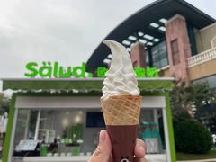 -Salud撒露欧洲冻酸奶(蓝色港湾店)