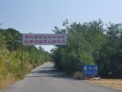 -仙蘑洞