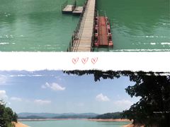 -广州市流溪河国家森林公园