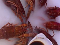 -红盔甲·小龙虾(车公庙店)