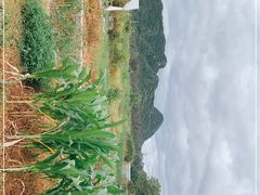 -夏屿湖畔.落日湖景餐厅(普者黑景区店)