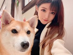 -逗柴咖啡屋·狗咖猫咖宠物桌游