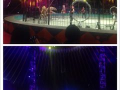 iphone_upload_pic-国色天乡三期陆地乐园