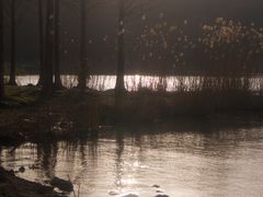 -东钱湖旅游度假区