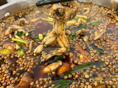 -东吴霸王兔(松青路店)