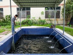 -鸿渡渔庄·特色鸭咀鱼