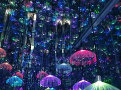 -星空失恋博物馆(北京路旗舰店)