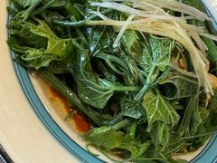 -巴依老爷新疆美食(常营店)