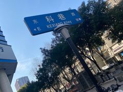-陶记正宗德州扒鸡(科巷店)