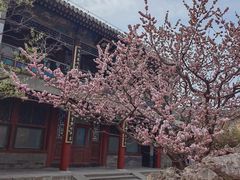 -颐和园