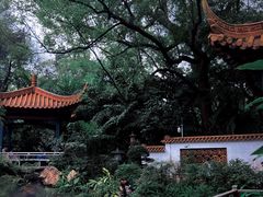 -广州兰圃