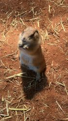 -Zoolung Zoolung动物主题公园(海信广场店)