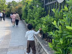 -上海佘山国家森林公园西佘山园