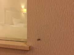 -沈阳于洪碧桂园凤凰酒店