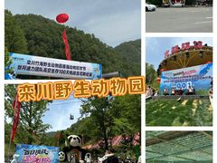 -栾川竹海野生动物园