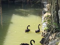 -珠海圆明新园