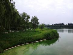 -秀水公园